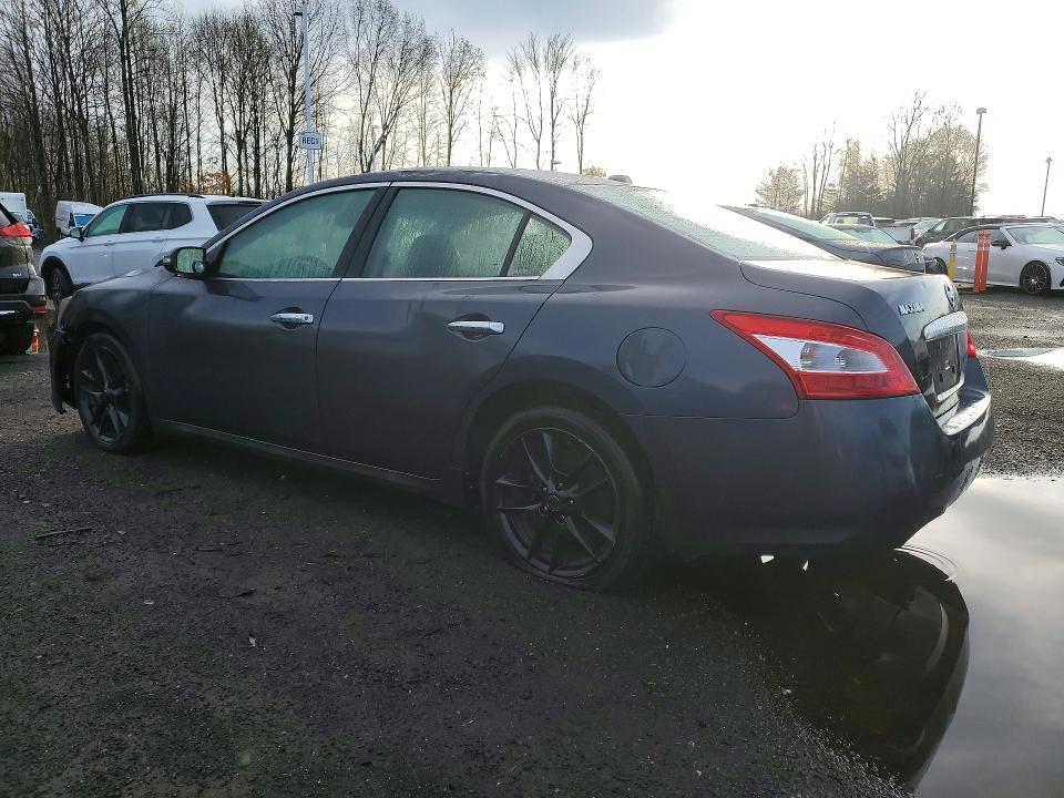 Продажа на аукционе авто 2010 Nissan Maxima, vin: 1N4AA5AP1AC857508, номер лота: 50250456