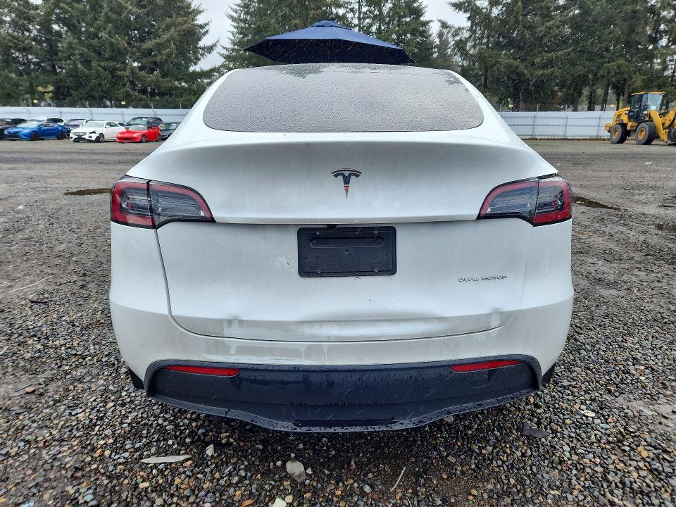 Продаж на аукціоні авто 2024 Tesla Model Y, vin: 7SAYGDEE4RF190459, номер лоту: 49838876