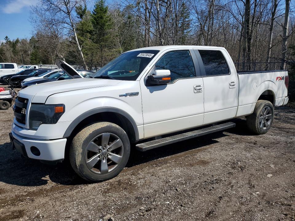 50423846 :رقم المزاد ، 1FTFW1EF8EFB78500 vin ، 2014 Ford F150 مزاد بيع