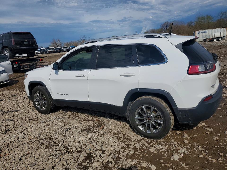 49443026 :رقم المزاد ، 1C4PJMLB6KD287968 vin ، 2019 Jeep Cherokee مزاد بيع