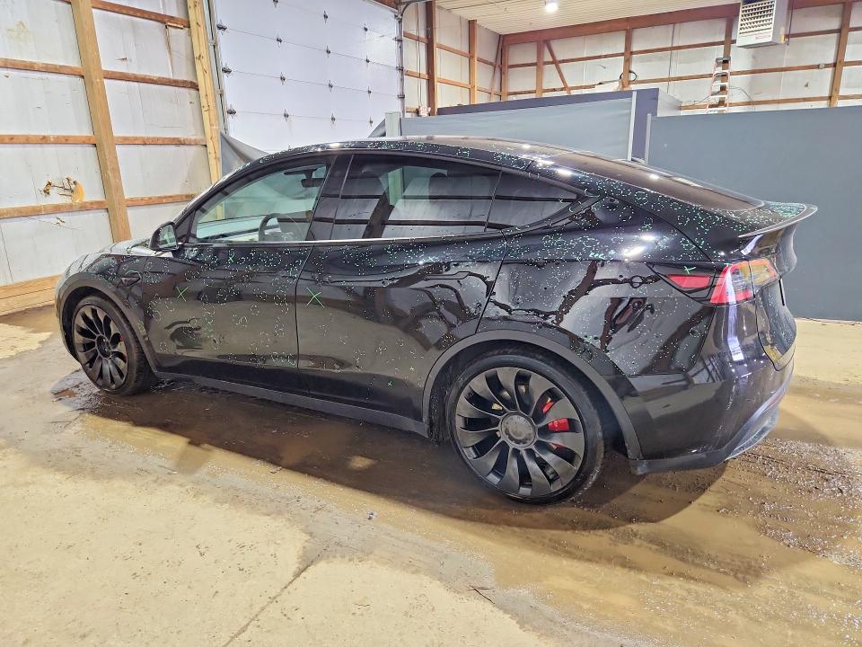 Продаж на аукціоні авто 2023 Tesla Model Y, vin: 7SAYGDEF4PF788069, номер лоту: 51375286