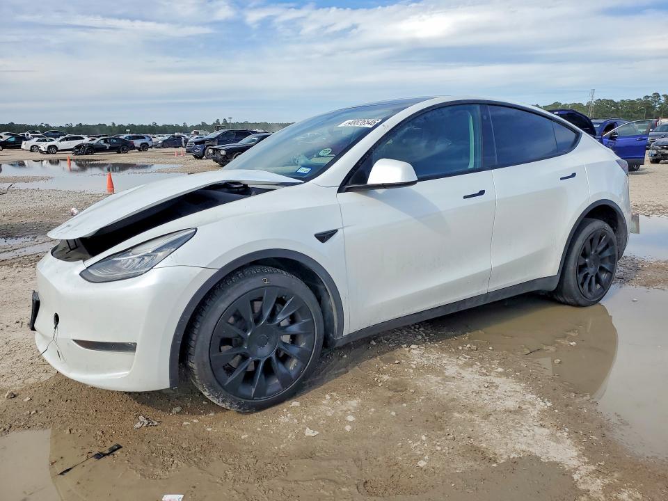 Продаж на аукціоні авто 2023 Tesla Model Y, vin: 7SAYGDEE6PA072052, номер лоту: 48826546