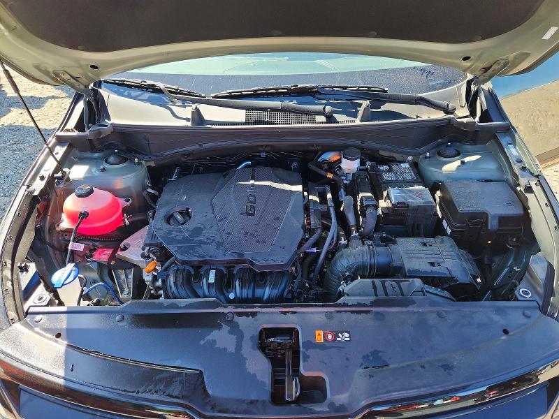 51850816 :رقم المزاد ، 5XYK6CDF2SG313698 vin ، 2025 Kia Sportage مزاد بيع