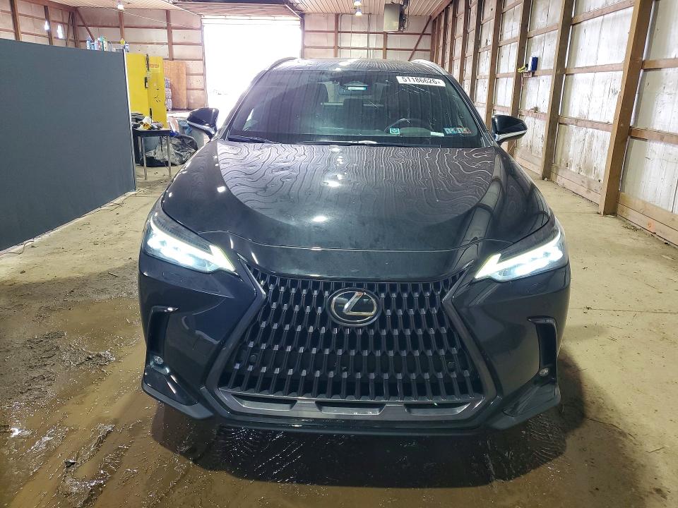 Продажа на аукционе авто 2022 Lexus Nx, vin: 2T2HGCEZ6NC010578, номер лота: 51186626