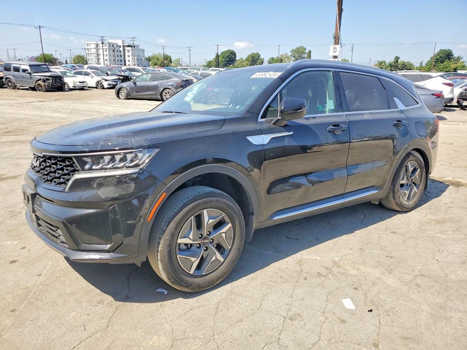 Aukcja sprzedaży 2023 Kia Sorento, vin: KNDRH4LG6P5155603, numer aukcji: 49992936