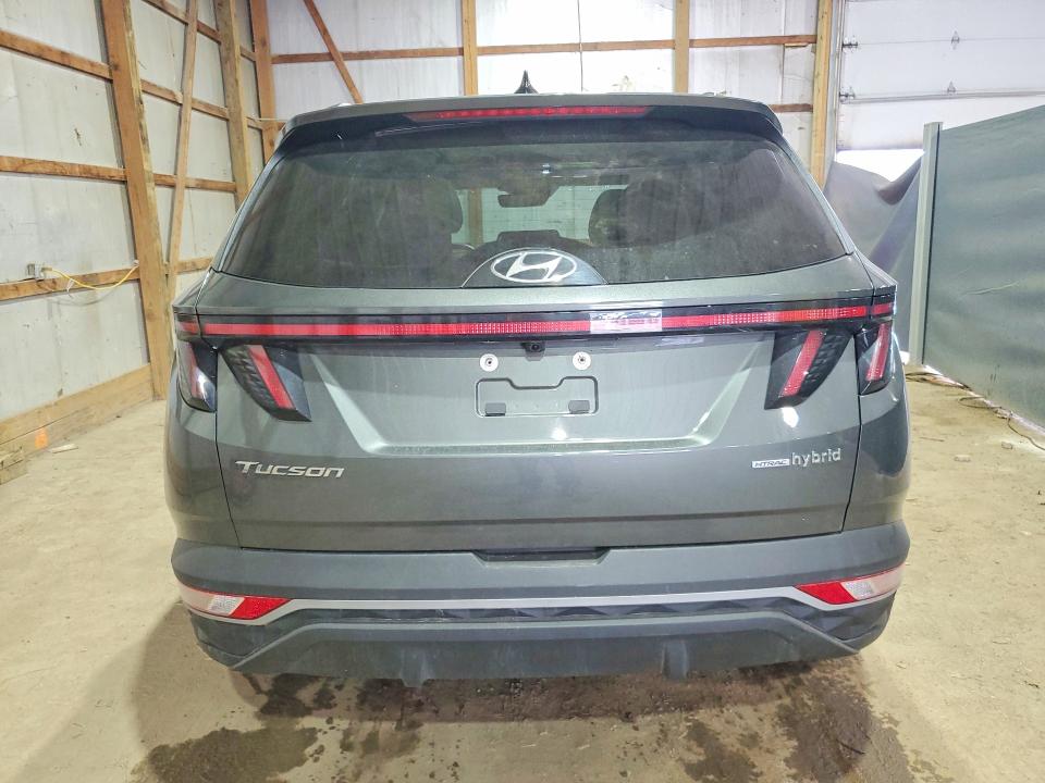 Продаж на аукціоні авто 2023 Hyundai Tucson, vin: KM8JFCA10PU099591, номер лоту: 50737736