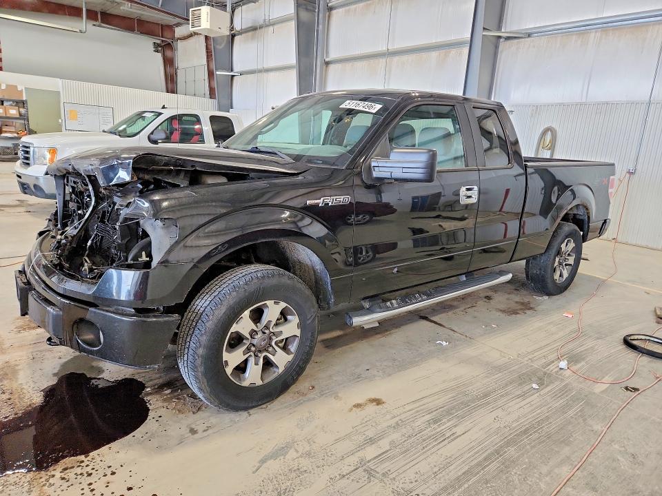 Aukcja sprzedaży 2013 Ford F150, vin: 1FTFX1EF9DFA79650, numer aukcji: 51167496