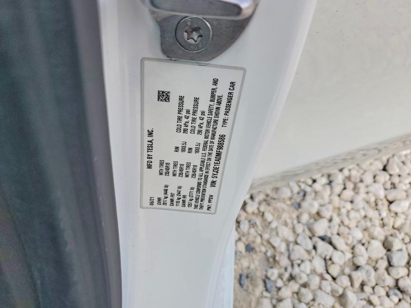 Aukcja sprzedaży 2021 Tesla Model 3, vin: 5YJ3E1EA0MF988586, numer aukcji: 49714656