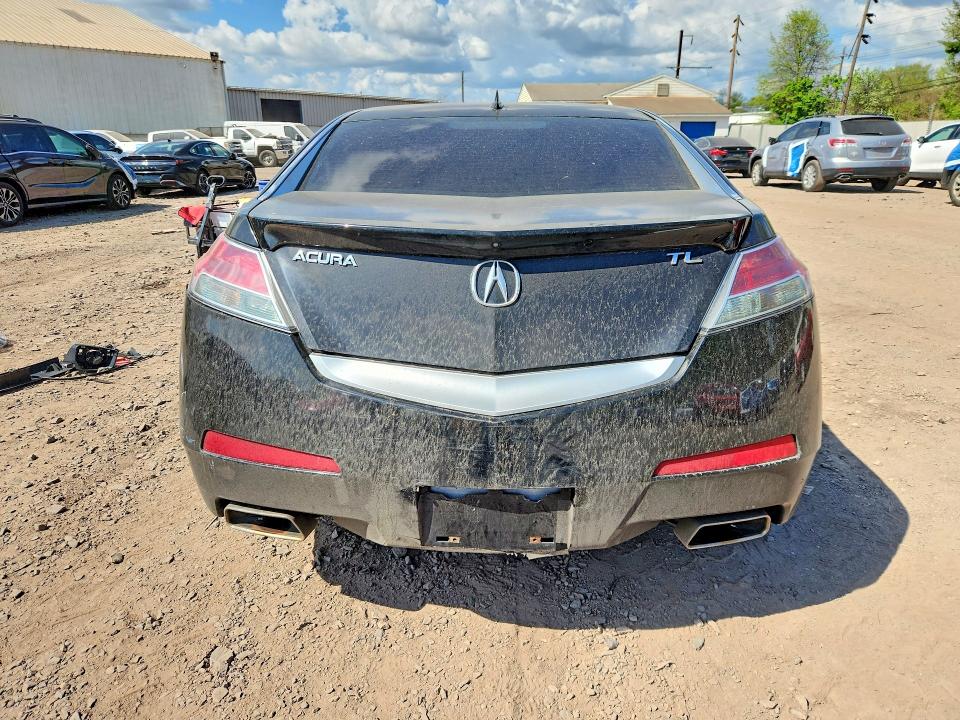 Продаж на аукціоні авто 2010 Acura Tl, vin: 19UUA8F55AA009242, номер лоту: 50133236