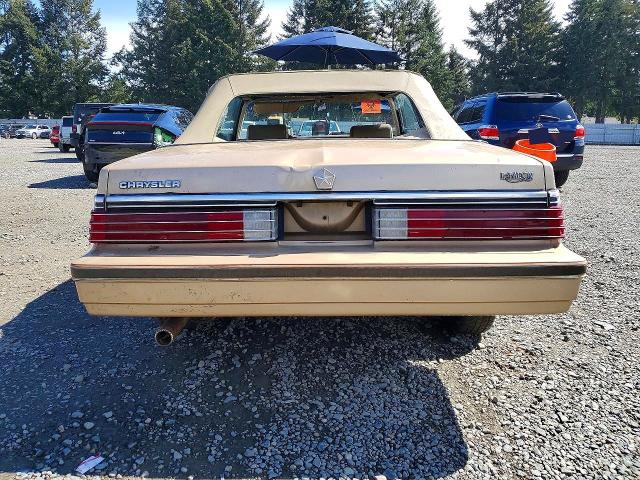 1984 Chrysler Lebaron მანქანა იყიდება აუქციონზე, vin: 1C3BC55C3EG167732, აუქციონის ნომერი: 49519196