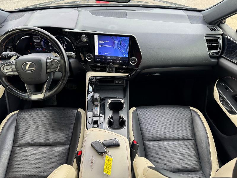 50274876 :رقم المزاد ، JTJADCAZ5N2001984 vin ، 2022 Lexus Nx مزاد بيع