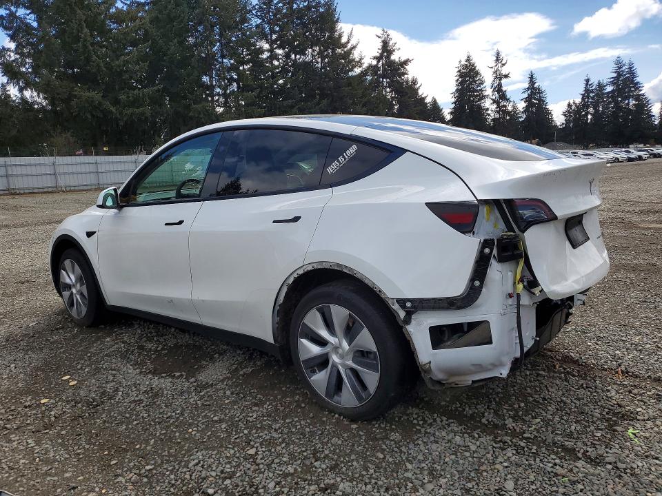Продаж на аукціоні авто 2024 Tesla Model Y, vin: 7SAYGAEE1RF988979, номер лоту: 49667596
