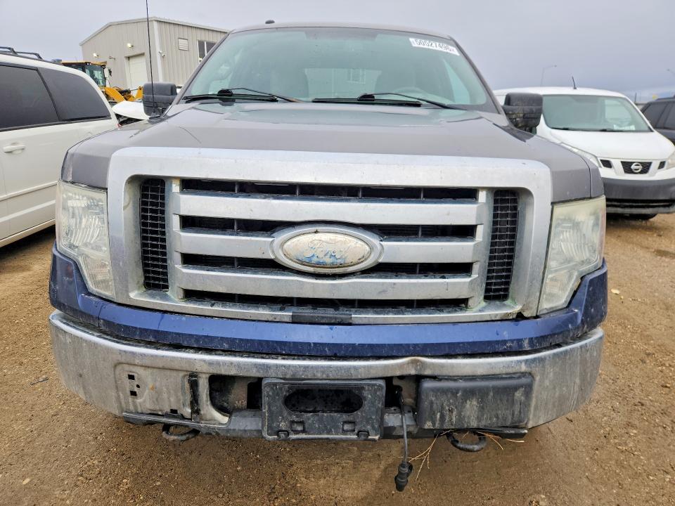 50527496 :رقم المزاد ، 1FTEW1E82AFC41033 vin ، 2010 Ford F150 مزاد بيع