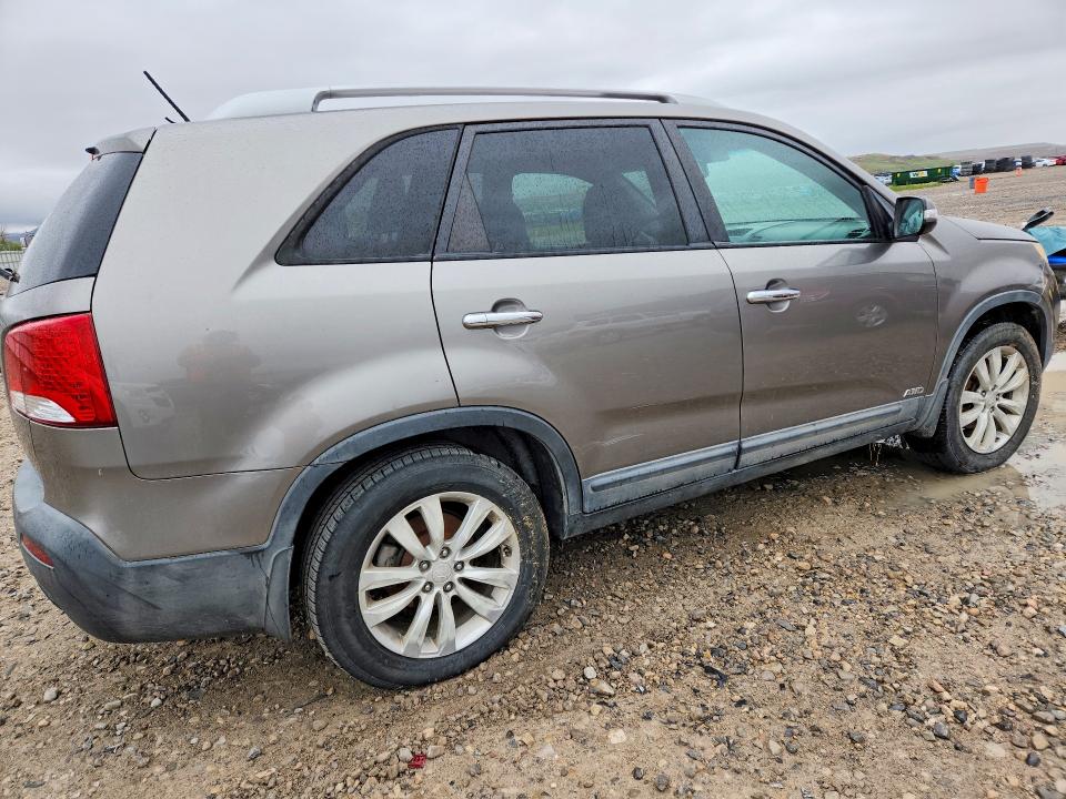 Продаж на аукціоні авто 2011 Kia Sorento, vin: 5XYKTDA28BG151785, номер лоту: 51539006