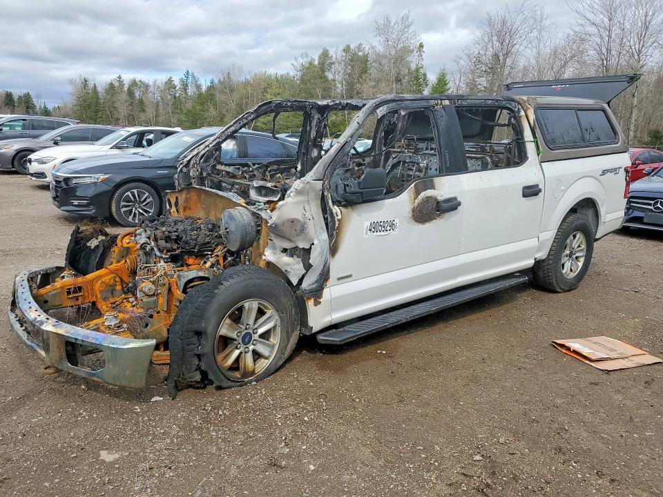 Auction sale of the 2015 Ford F150, vin: 1FTEW1EG8FFB92712, lot number: 49059296