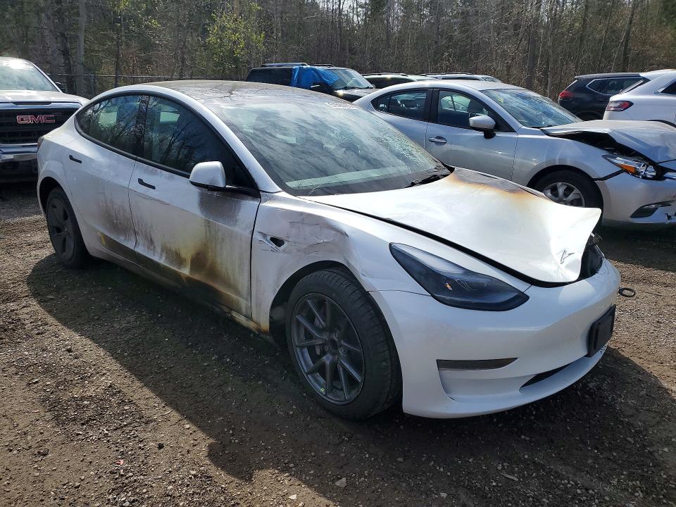 Продаж на аукціоні авто 2023 Tesla Model 3, vin: 5YJ3E1EA5PF496852, номер лоту: 51590786
