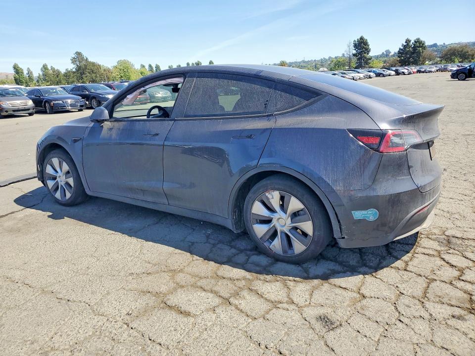 Aukcja sprzedaży 2024 Tesla Model Y, vin: 7SAYGAEE3RF081795, numer aukcji: 49122516