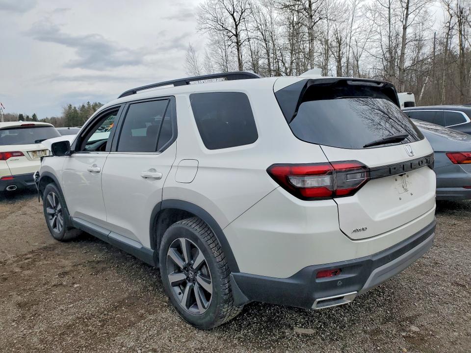48813016 :رقم المزاد ، 5FNYG1H71PB503358 vin ، 2023 Honda Pilot مزاد بيع
