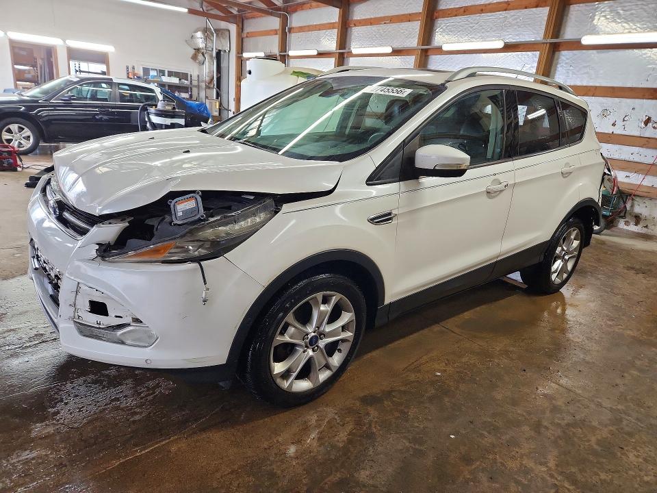 Auction sale of the 2014 Ford Escape, vin: 1FMCU0J95EUB07197, lot number: 48745556