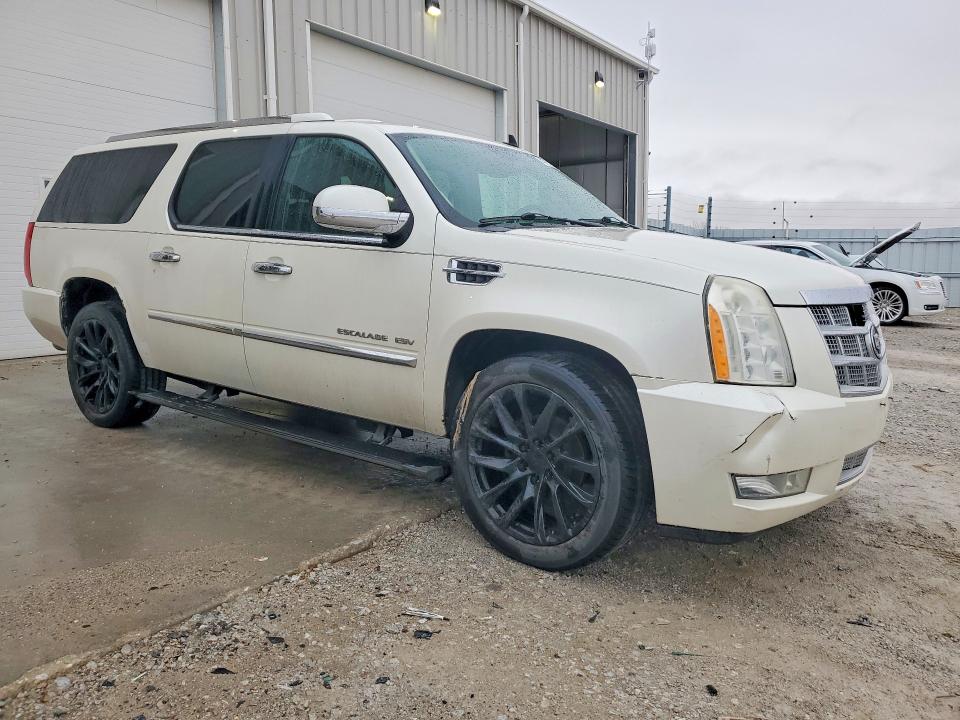 Auction sale of the 2010 Cadillac Escalade, vin: 1GYUKKEF7AR289485, lot number: 47917586