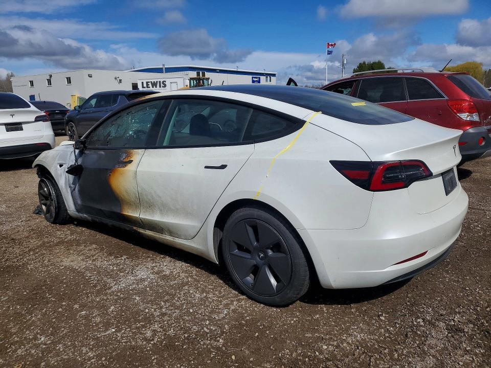 Продаж на аукціоні авто 2023 Tesla Model 3, vin: 5YJ3E1EA5PF496852, номер лоту: 51590786