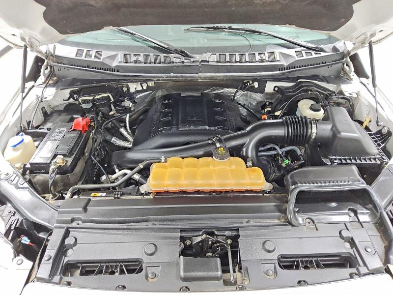 Продаж на аукціоні авто 2016 Ford F150, vin: 1FTEW1EG3GKE66634, номер лоту: 50285366