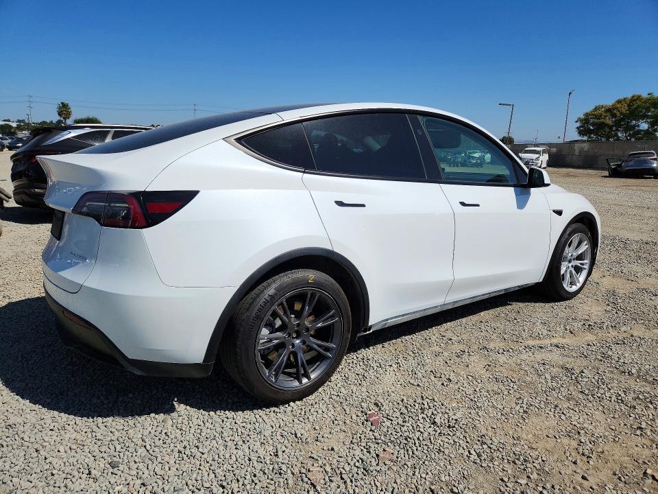 Продаж на аукціоні авто 2024 Tesla Model Y, vin: 7SAYGAEEXRF168142, номер лоту: 48300726