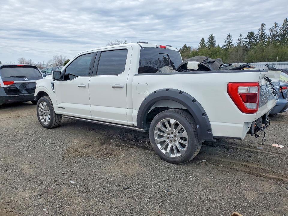2023 Ford F150 მანქანა იყიდება აუქციონზე, vin: 1FTFW1ED9PFD15252, აუქციონის ნომერი: 49843806