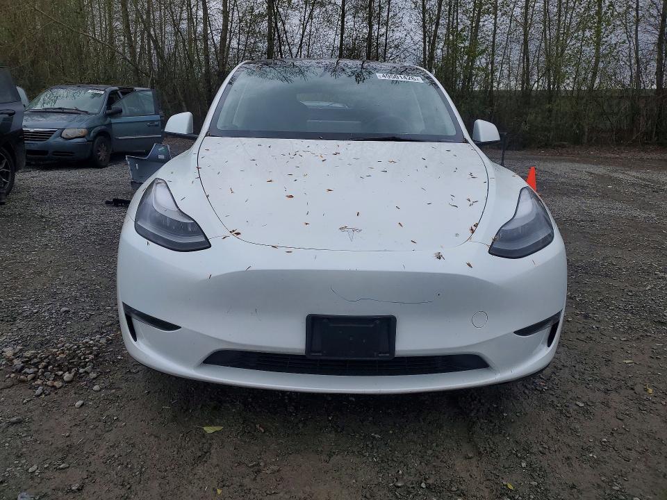 Продаж на аукціоні авто 2023 Tesla Model Y, vin: 7SAYGDEE1PF804249, номер лоту: 49501426