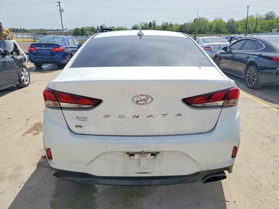 48764606 :رقم المزاد ، 5NPE24AF1KH747574 vin ، 2019 Hyundai Sonata مزاد بيع