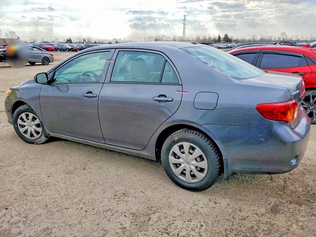 48353966 :رقم المزاد ، 2T1BU4EE5AC388245 vin ، 2010 Toyota Corolla مزاد بيع