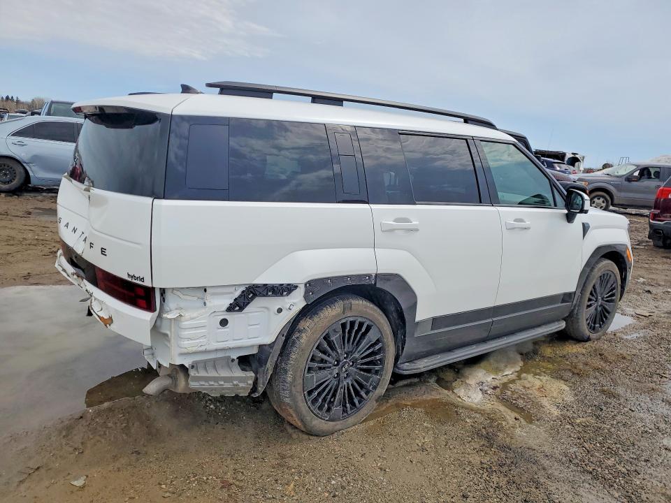 49968506 :رقم المزاد ، KM8P5DG10RU034897 vin ، 2024 Hyundai Santa Fe مزاد بيع