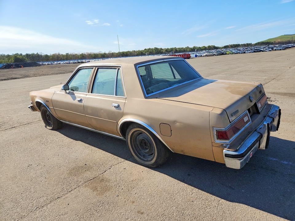 1983 Dodge Diplomat მანქანა იყიდება აუქციონზე, vin: 2B3BG26H2DR125396, აუქციონის ნომერი: 50843196