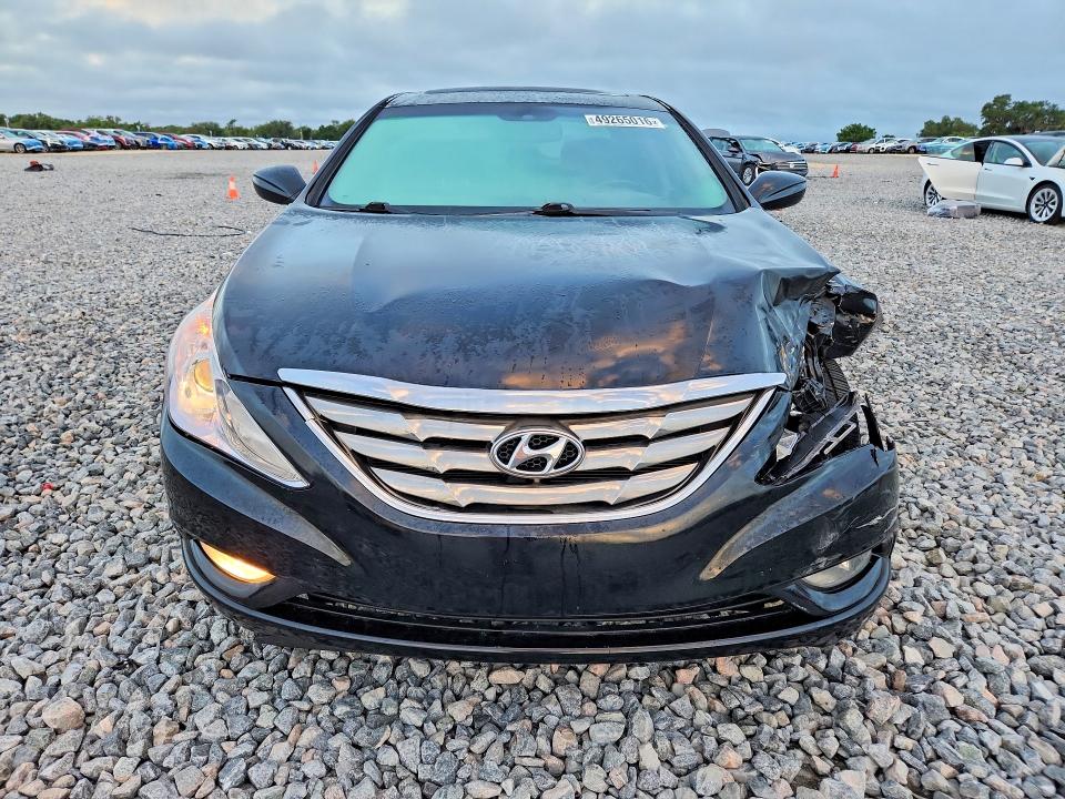 Продажа на аукционе авто 2013 Hyundai Sonata, vin: 5NPEC4AC9DH583237, номер лота: 49265016