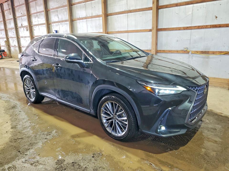 Продажа на аукционе авто 2022 Lexus Nx, vin: 2T2HGCEZ6NC010578, номер лота: 51186626