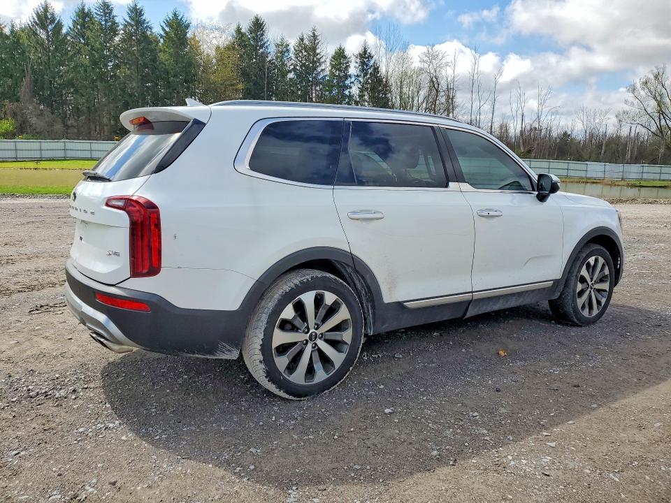 Продаж на аукціоні авто 2020 Kia Telluride, vin: 5XYP6DHC1LG031386, номер лоту: 50404936