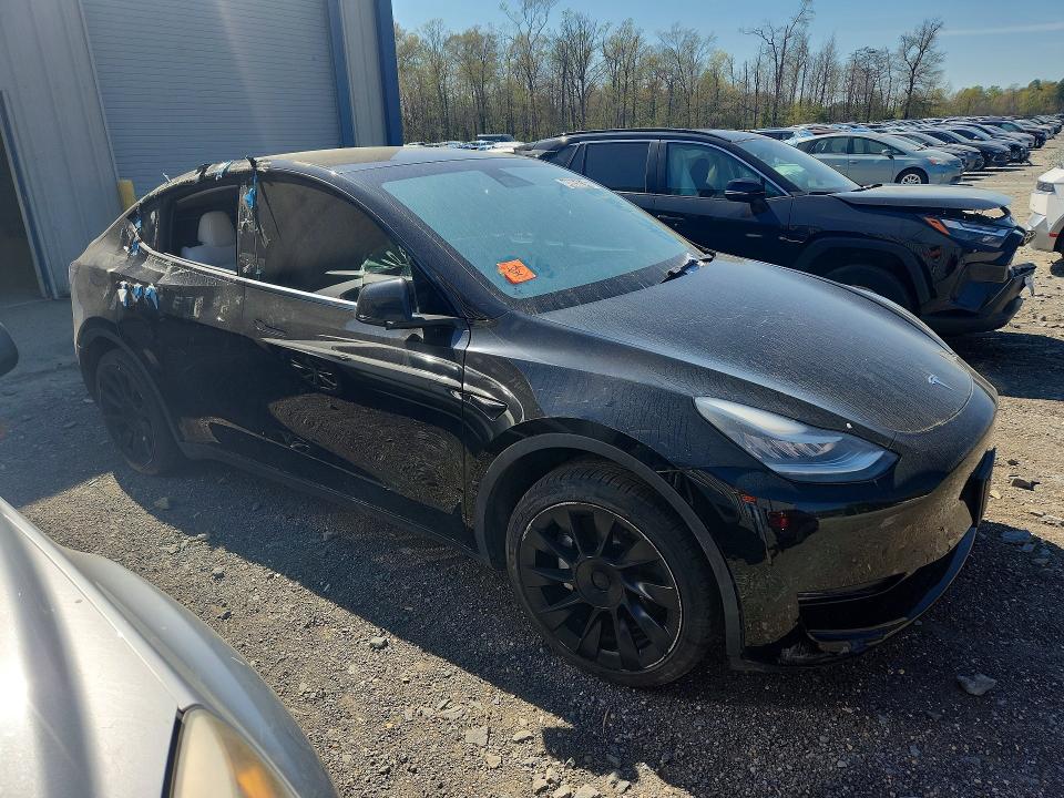 49056546 :رقم المزاد ، 5YJYGDED8MF132724 vin ، 2021 Tesla Model Y مزاد بيع