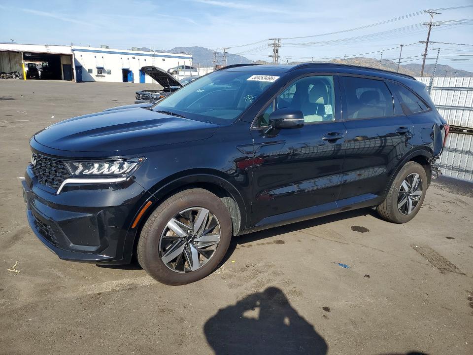 Auction sale of the 2023 Kia Sorento, vin: 5XYRL4LC4PG207006, lot number: 50453496