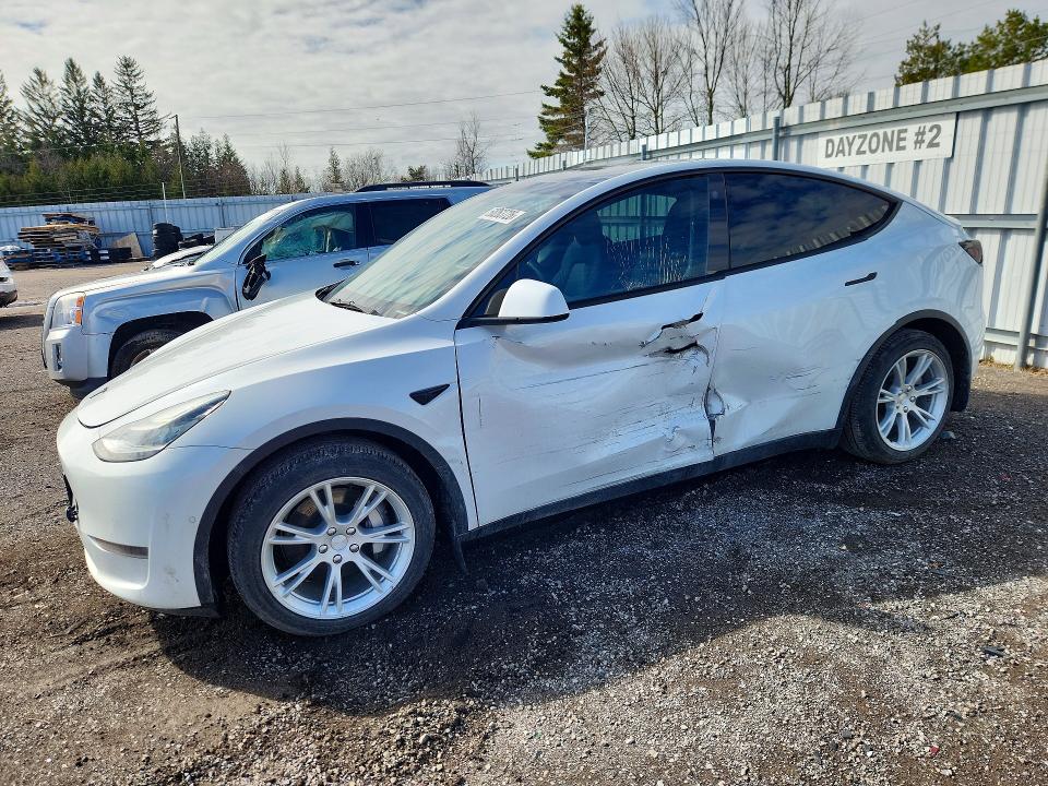 Aukcja sprzedaży 2021 Tesla Model Y, vin: 5YJYGDEE0MF199942, numer aukcji: 50263726
