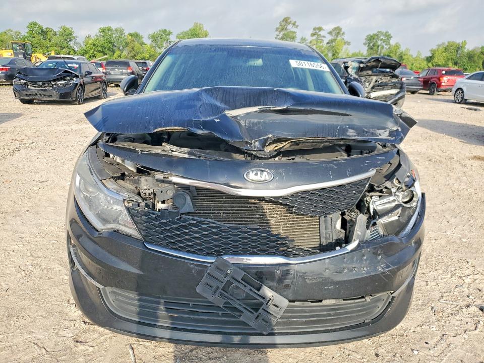 50116556 :رقم المزاد ، 5XXGT4L39GG118348 vin ، 2016 Kia Optima مزاد بيع