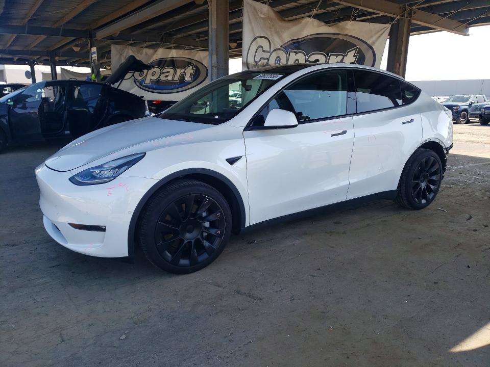 Продаж на аукціоні авто 2021 Tesla Model Y, vin: 5YJYGDEE6MF153354, номер лоту: 50622556