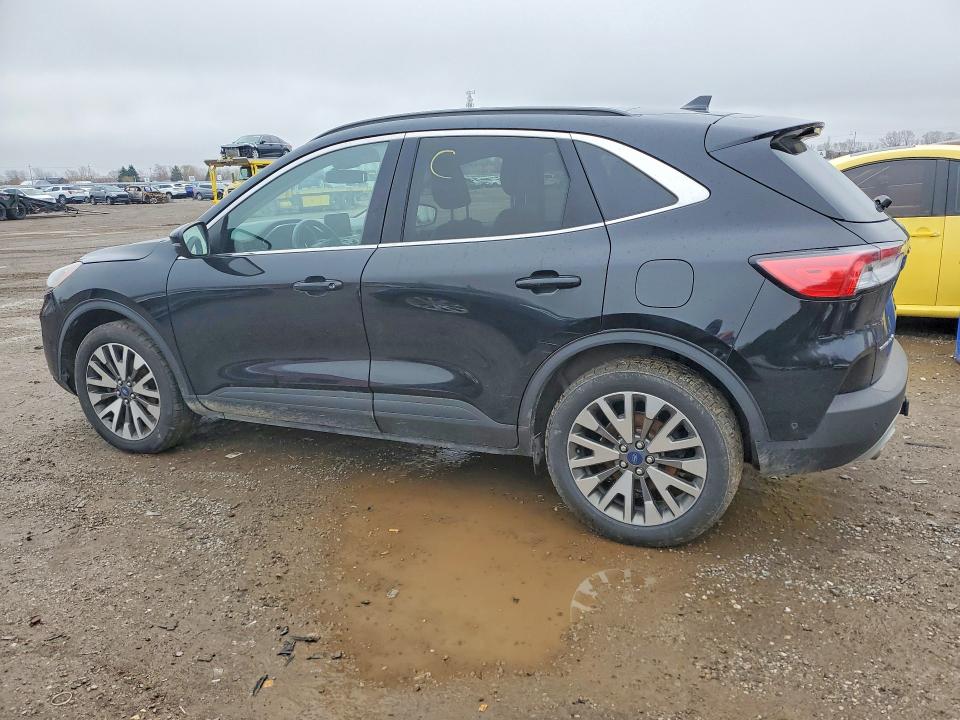 Auction sale of the 2020 Ford Escape, vin: 1FMCU9J90LUA00396, lot number: 48792666