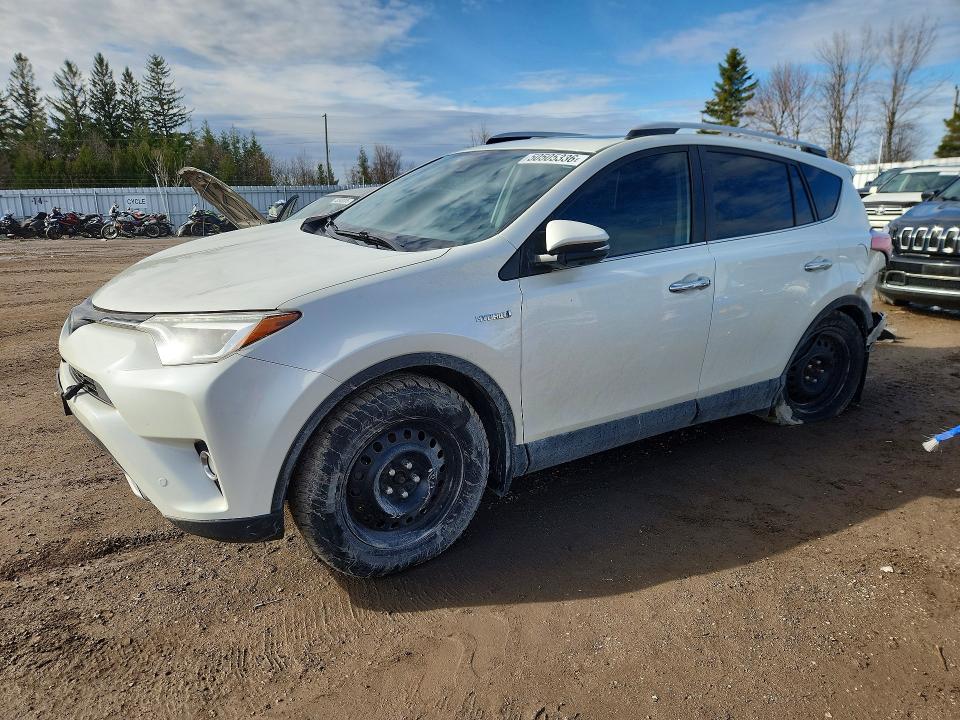 Продаж на аукціоні авто 2016 Toyota Rav4 Hv, vin: JTMDJREV8GD049425, номер лоту: 50505336