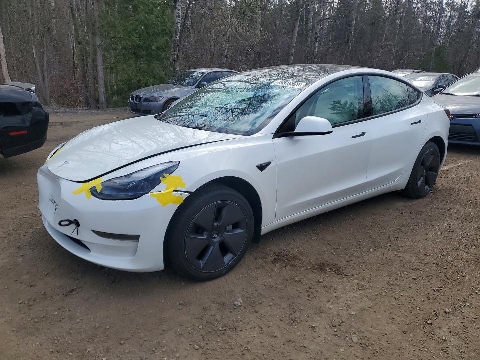 49619526 :رقم المزاد ، 5YJ3E1EA7PF556839 vin ، 2023 Tesla Model 3 مزاد بيع
