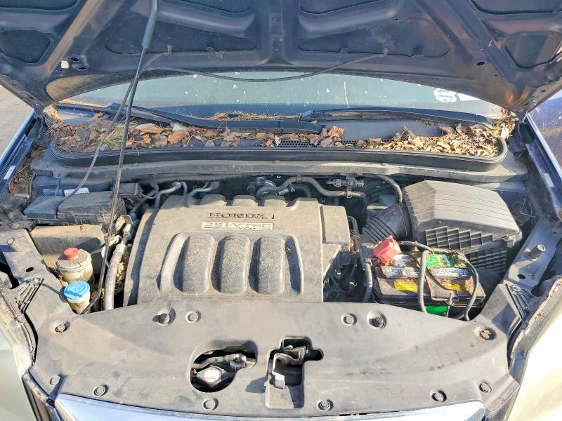Продаж на аукціоні авто 2006 Honda Odyssey, vin: 5FNRL38686B033413, номер лоту: 50956486