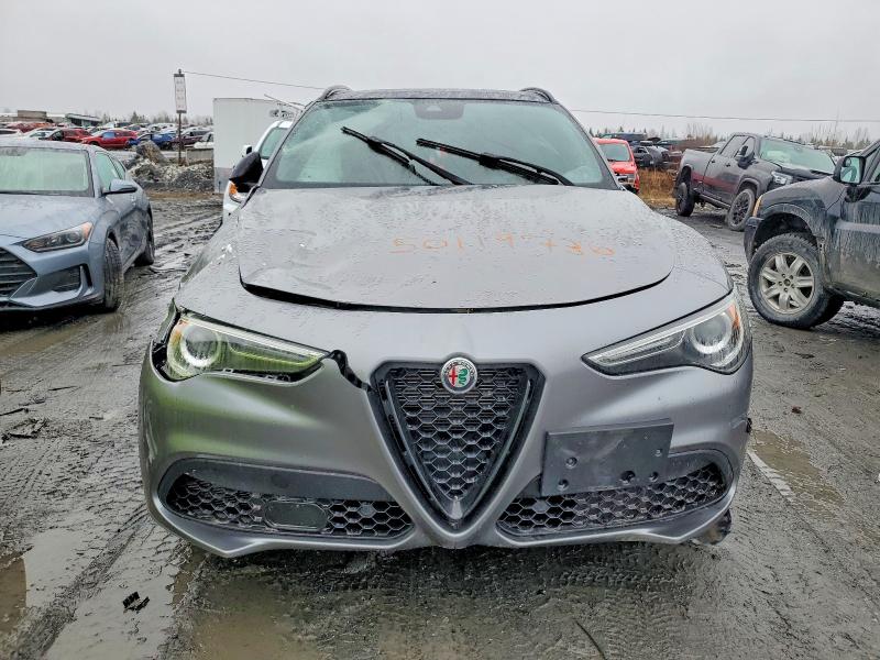 50119736 :رقم المزاد ، ZASPAKBN0M7D18043 vin ، 2021 Alfa Romeo Stelvio مزاد بيع