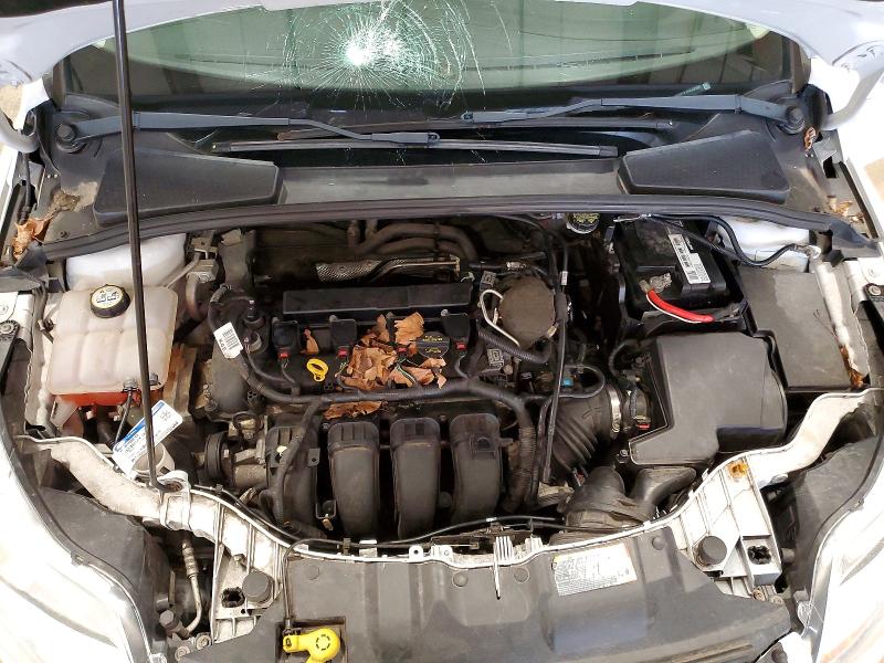 Продажа на аукционе авто 2013 Ford Focus, vin: 1FADP3F2XDL231991, номер лота: 50154146
