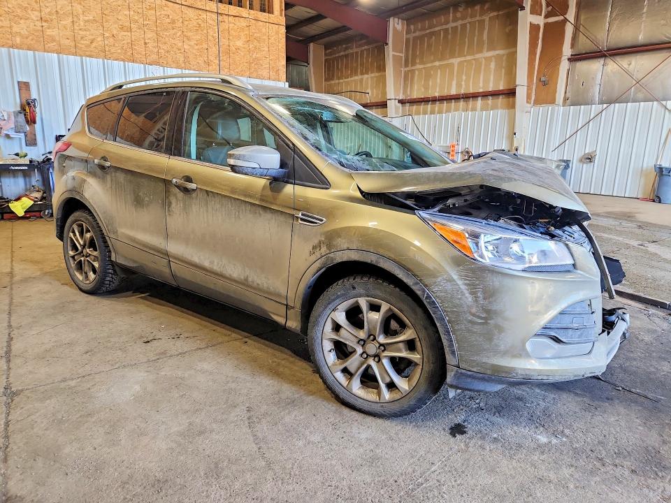 Auction sale of the 2014 Ford Escape, vin: 1FMCU9J93EUA39972, lot number: 49010156