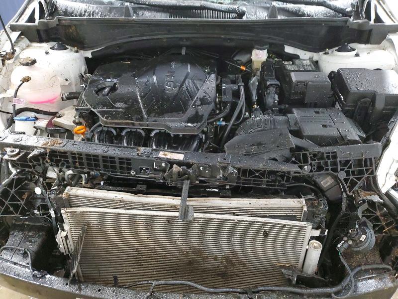 Продаж на аукціоні авто 2026 Kia Sportage, vin: 5XYK2CDF9TG362698, номер лоту: 51283256