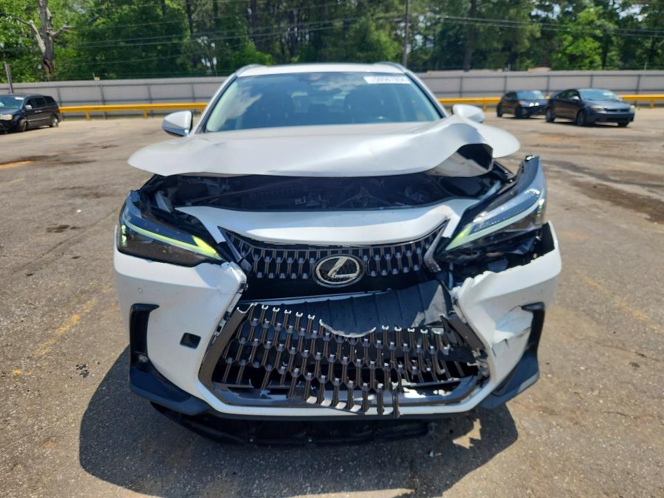 Продаж на аукціоні авто 2023 Lexus Nx, vin: JTJGDCAZ7P5012271, номер лоту: 50567856